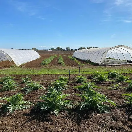 The Ranch 2 Capalbio Apartment *