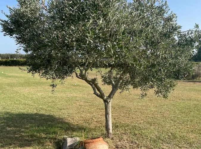 The Ranch 2 Capalbio *